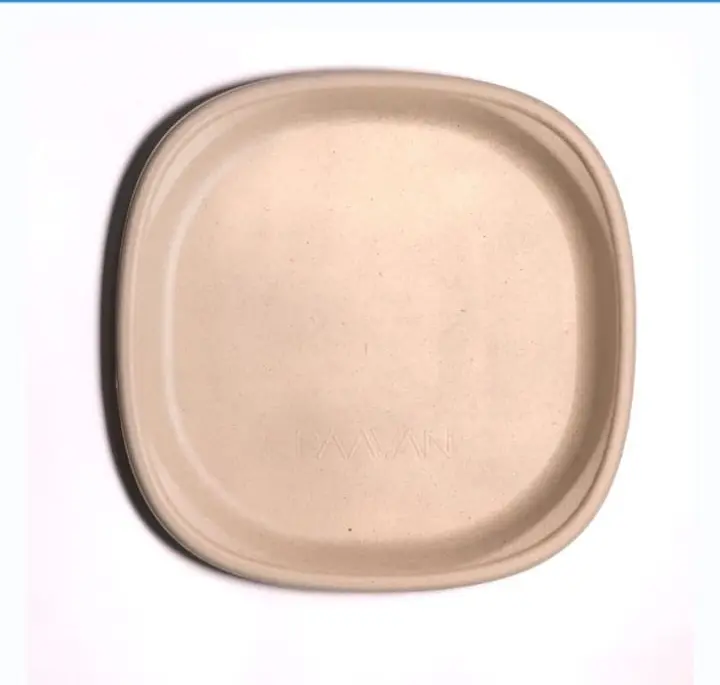 Eco Disposable Sugar Cane Material ( 10 Inch Tray )