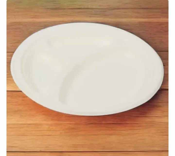 Eco Disposable White 10 Inch Round Plate (3CP)