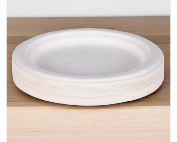 Eco Disposable  White 9 Inch Round Plate 
