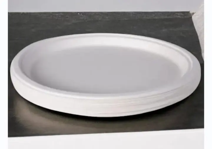 Eco Disposable White 12 Inch Round Plate 