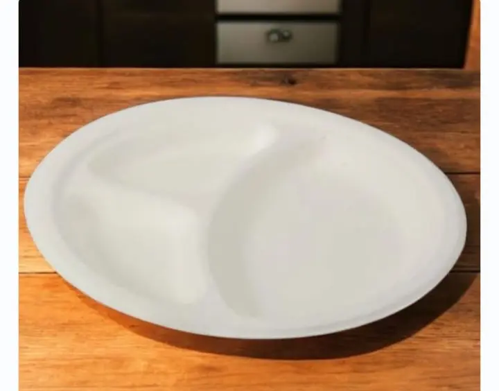 Eco Disposable White 9 Inch Round Plate      ( 3CP)