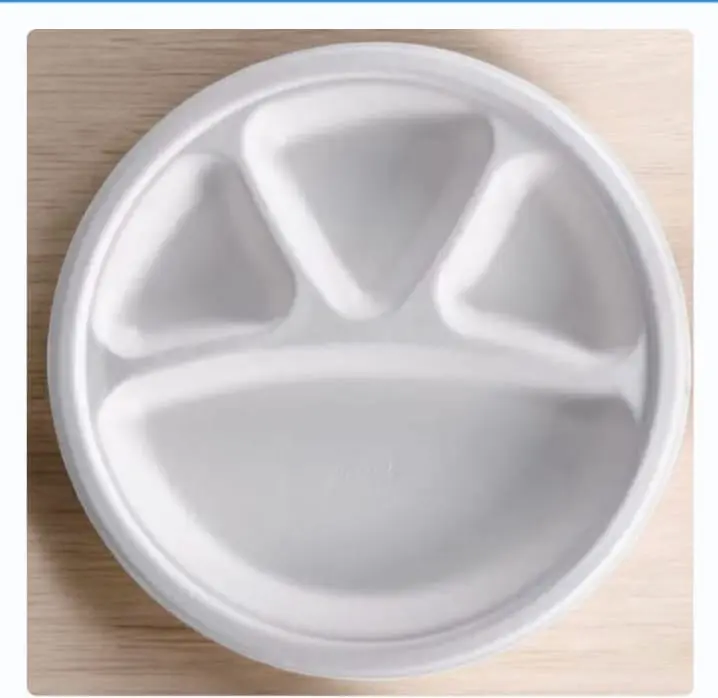 Eco Disposable White 11 Inch Round Plate      ( 4 CP)