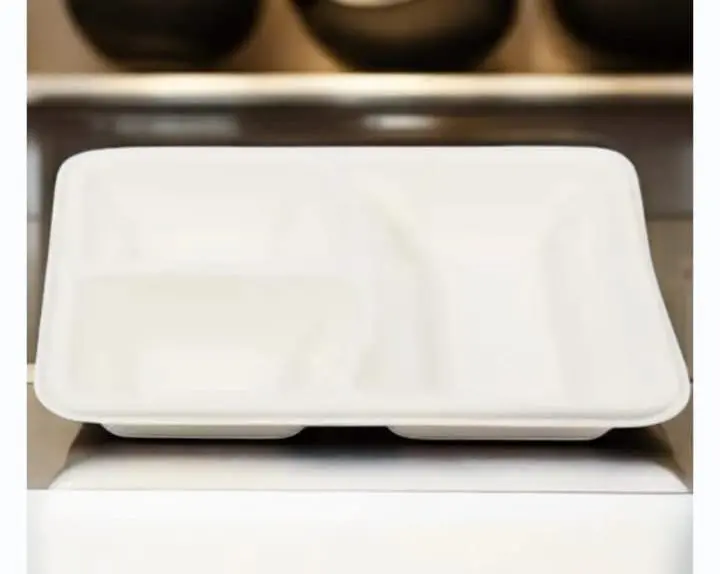 Eco Disposable White  Rectangular Plate ( 3CP )