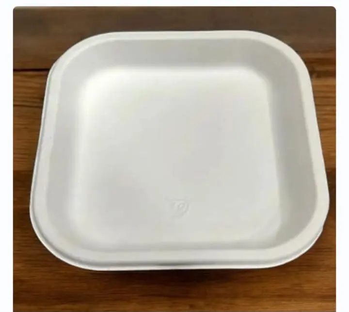 Eco Disposable White 7 Inch Square Plate 