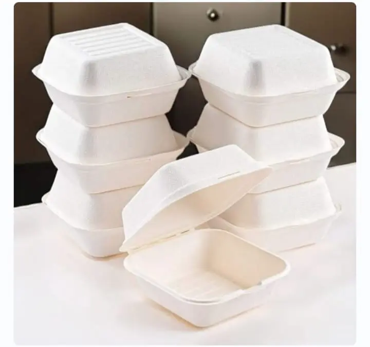 Eco Disposable White 6x9 Clamshell