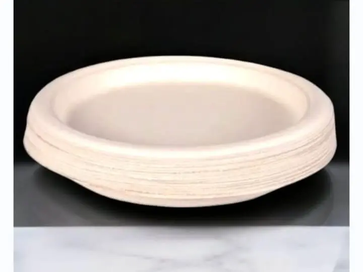 Eco Disposable White  6 Inch Round Plate 