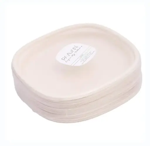 Eco Disposable Sugar Cane Material (6 Inch Square Plate)
