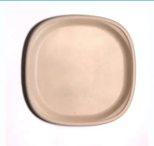 Eco Disposable Sugar Cane Material ( 10 Inch Tray )
