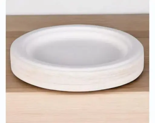 Eco Disposable  White 9 Inch Round Plate 