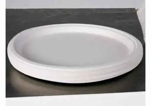 Eco Disposable White 12 Inch Round Plate 