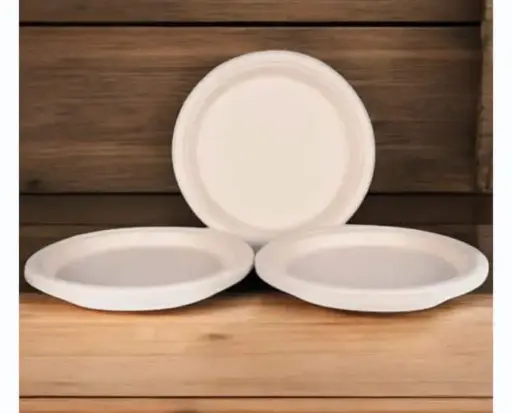 Eco Disposable White 7 Inch Round Plate 