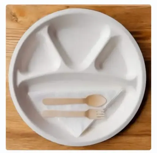 Eco Disposable White 12 Inch Round Plate   (4 CP)