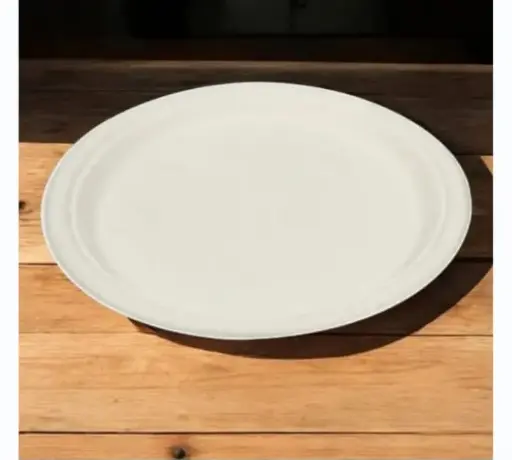 Eco Disposable White 10 Inch Round Plate 