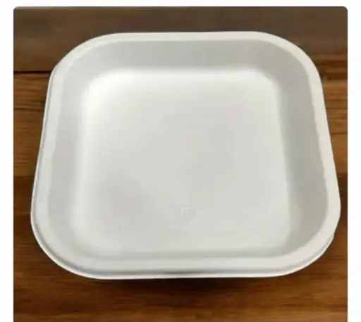 Eco Disposable White 7 Inch Square Plate 