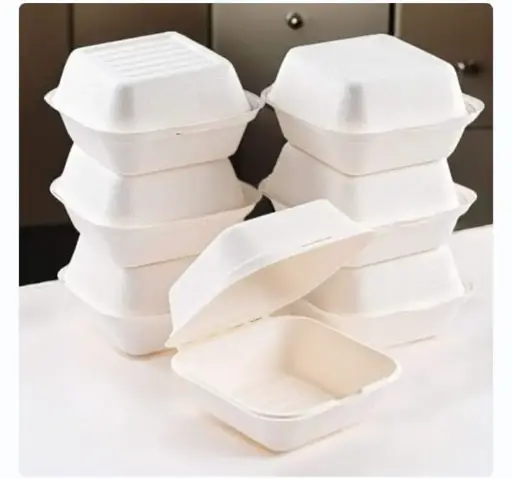 Eco Disposable White 6x9 Clamshell