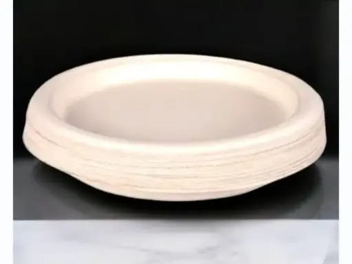 Eco Disposable White  6 Inch Round Plate 