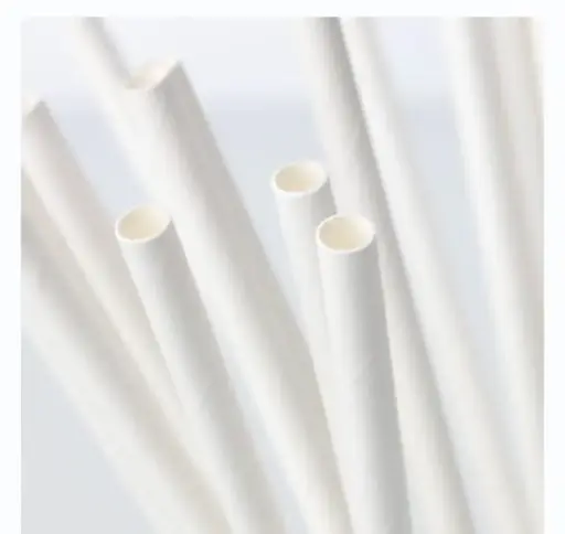 Paper Straw